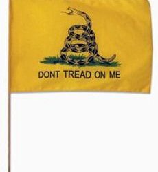 Mounted Gadsden Flag