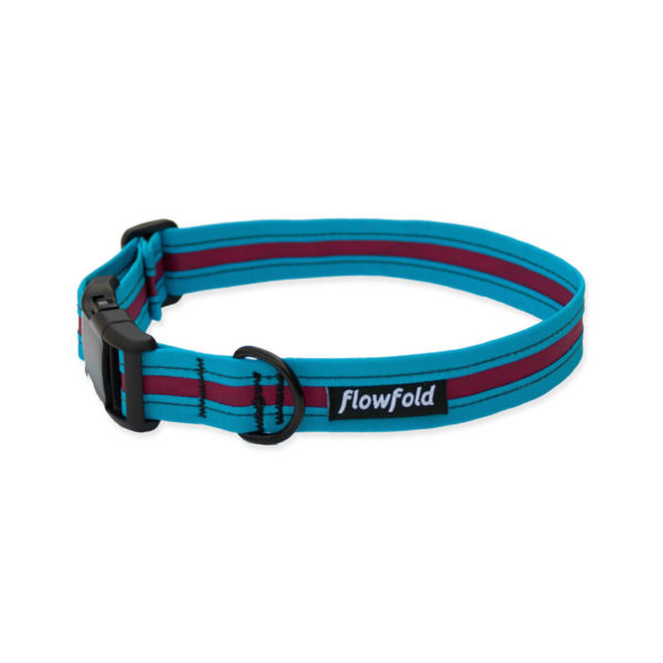 Trailmate Dog Collar (Port/Aqua)