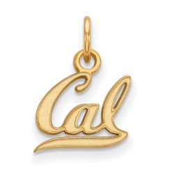 10k Yellow Gold California Berkeley XS (Tiny) Charm or Pendant