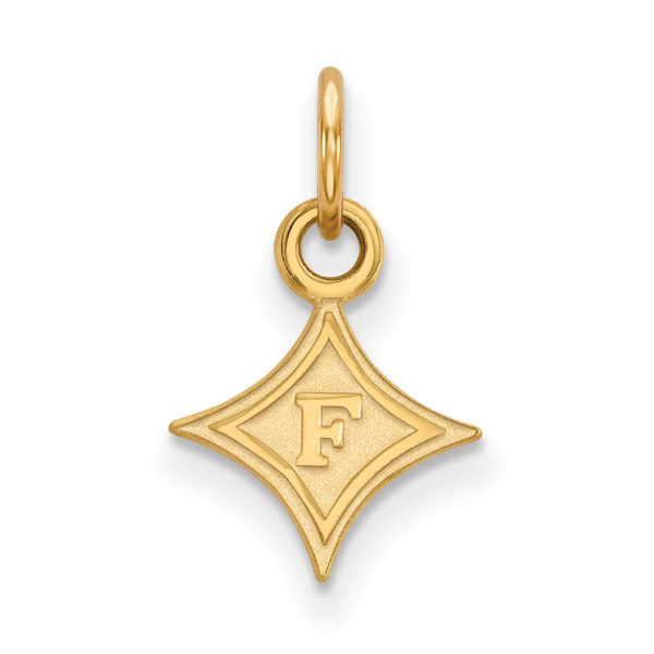 10k Yellow Gold Furman U XS (Tiny) Charm or Pendant