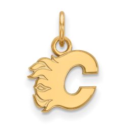 10k Yellow Gold NHL Calgary Flames XS (Tiny) Charm or Pendant