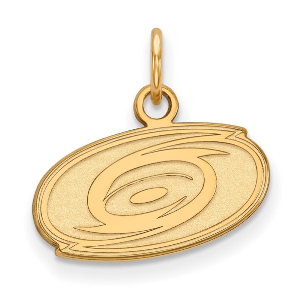 10k Yellow Gold NHL Carolina Hurricanes XS (Tiny) Charm or Pendant