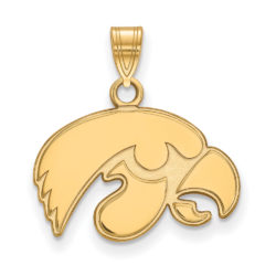 10k Yellow Gold U. of Iowa Small Mascot Pendant