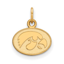 10k Yellow Gold U. of Iowa XS (Tiny) Charm or Pendant