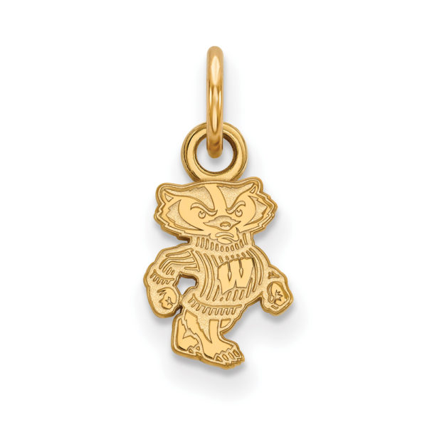 10k Yellow Gold U. of Wisconsin XS (Tiny) Badgers Charm or Pendant