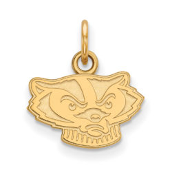 10k Yellow Gold U. of Wisconsin XS (Tiny) Mascot Charm or Pendant