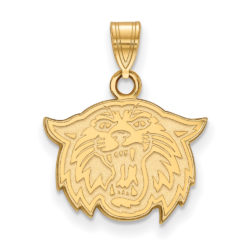 10k Yellow Gold Villanova U. Small Mascot Pendant