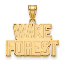 10k Yellow Gold Wake Forest U. Medium Logo Pendant