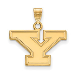 10k Yellow Gold Youngstown State Small Initial Y Pendant