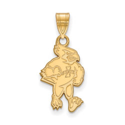 14k Gold Plated Silver Iowa State U. Large Pendant