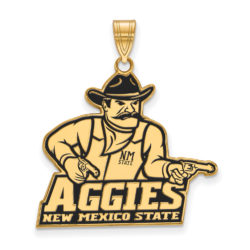 14k Gold Plated Silver New Mexico State XL Enamel Pendant