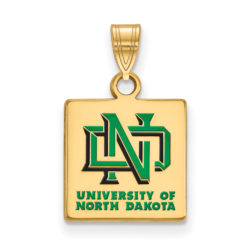 14k Gold Plated Silver North Dakota Small Enamel Pendant