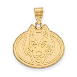 14k Gold Plated Silver St. Cloud State Large Pendant