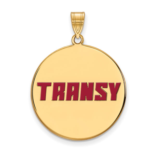 14k Gold Plated Silver Transylvania U. XL Enamel Disc Pendant