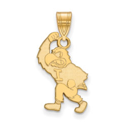 14k Gold Plated Silver U. of Iowa Large Pendant