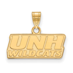 14k Gold Plated Silver U. of New Hampshire Small Pendant