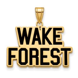 14k Gold Plated Silver Wake Forest U. Large Enamel Logo Pendant