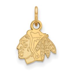 SS 14k Yellow Gold Plated NHL Chicago Blackhawks XS (Tiny) Charm