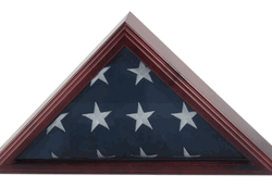 Capitol Flag Case for 3Ft X 5Ft Flag - Flag Frame