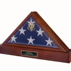 Eternity Flag Case Urn, Flag and Urn Display Case