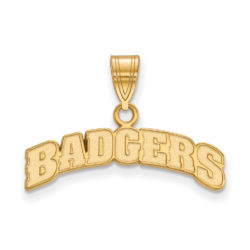 10k Yellow Gold U. of Wisconsin Medium Script Logo Pendant