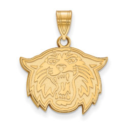 10k Yellow Gold Villanova U. Medium Mascot Pendant