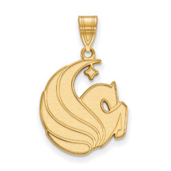 14k Gold Plated Silver Central Florida Large Pendant