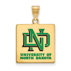 14k Gold Plated Silver North Dakota Large Enamel Pendant