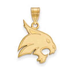 14k Gold Plated Silver Texas State Large Pendant