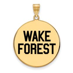 14k Gold Plated Silver Wake Forest U. XL Enamel Logo Disc Pendant