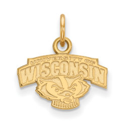 14k Yellow Gold U. of Wisconsin XS (Tiny) Mascot Logo Charm or Pendant