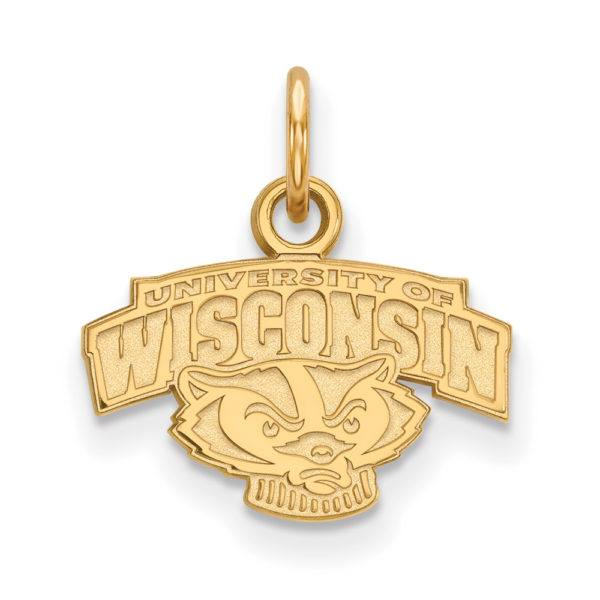 14k Yellow Gold U. of Wisconsin XS (Tiny) Mascot Logo Charm or Pendant