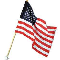 5' Economy US Flag Set